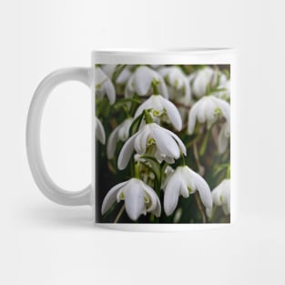 Not long till spring Mug